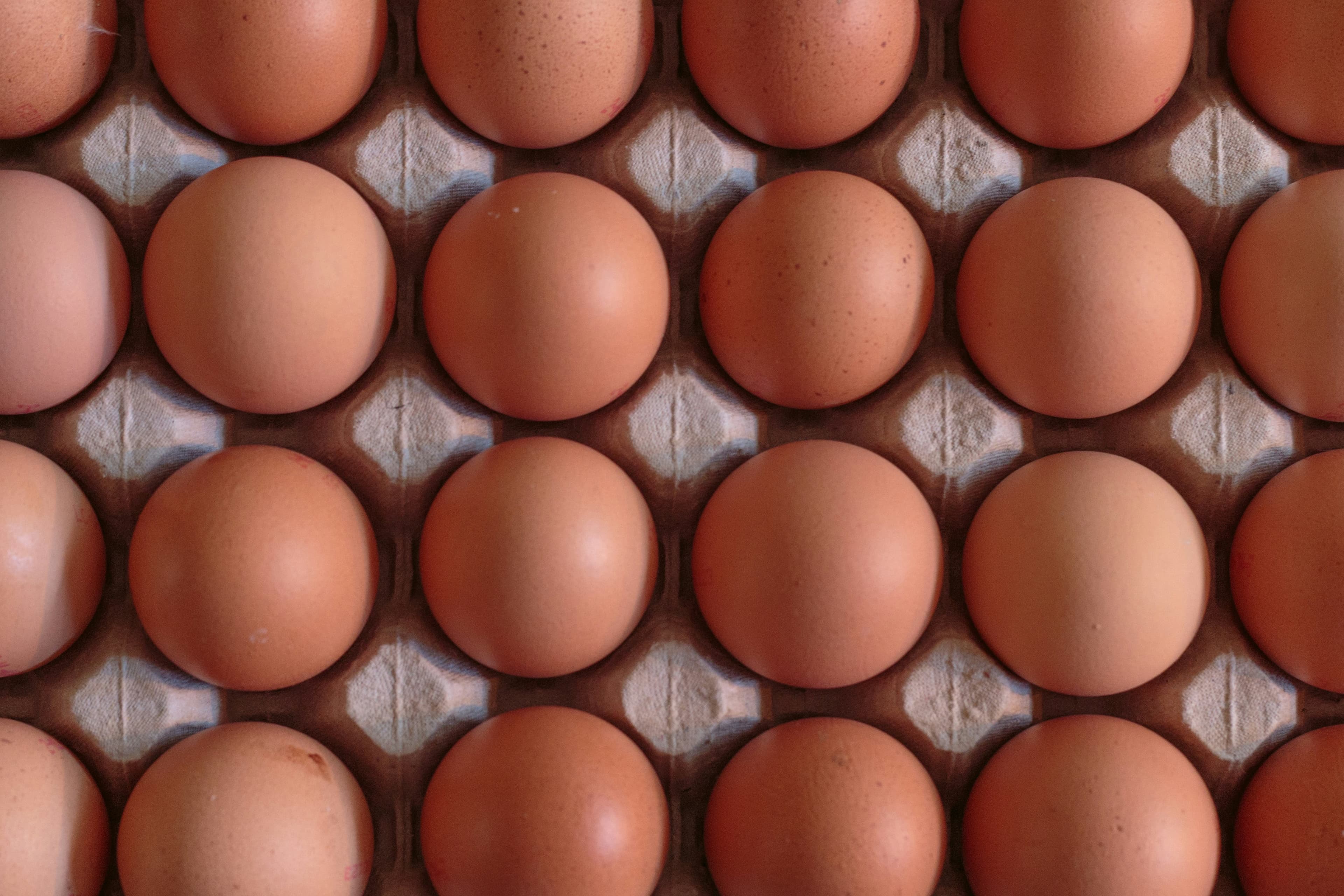A basket of fresh, organic country eggs with golden yolks